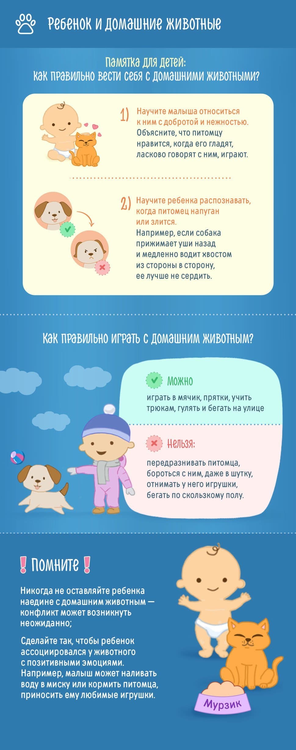 Правила поведения с домашними животными для детей